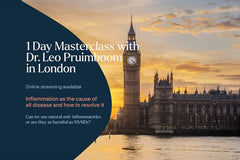 Masterclass with Dr Leo Pruimboom