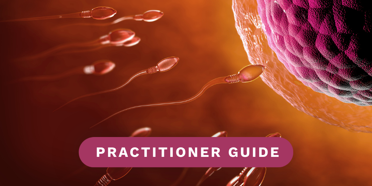 Optimising the Terrain for Fertility | Practitioner Guide