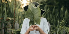 Beyond Calcium: Botanical Support for Osteoporosis