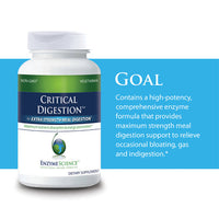 Critical Digestion - 30 Capsules | Enzyme Science