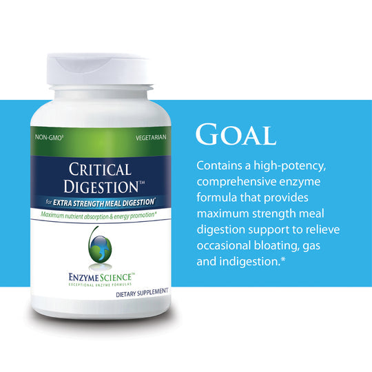 Critical Digestion - 90 Capsules | Enzyme Science