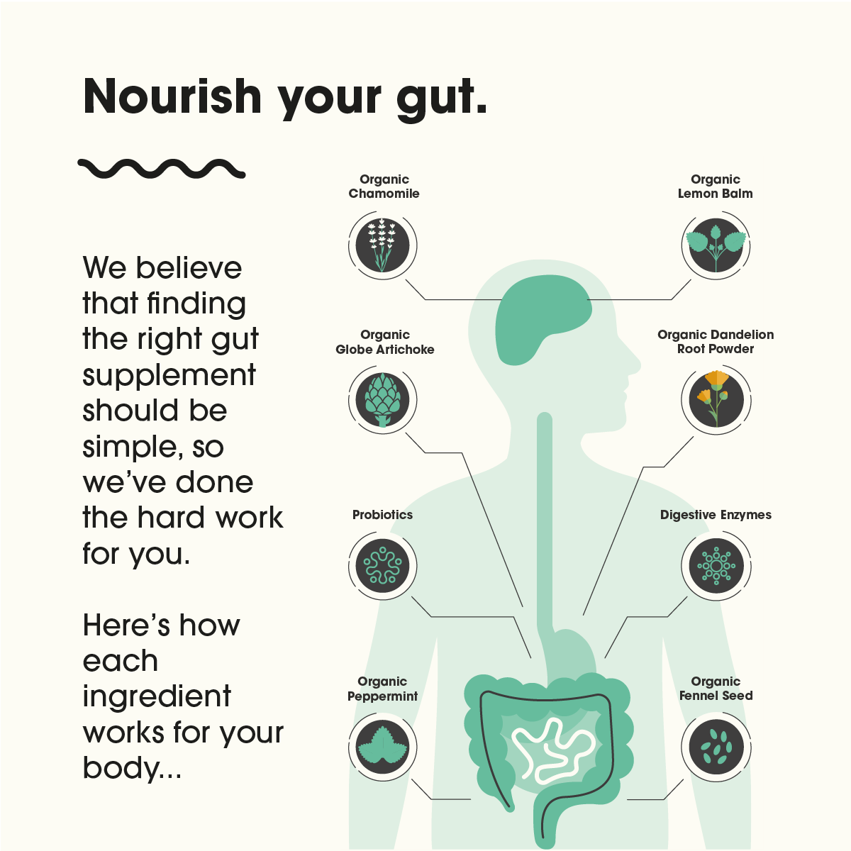 Gut 3-in-1 - 60 Capsules | Feel Complete