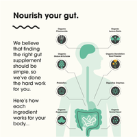 Gut 3-in-1 - 60 Capsules | Feel Complete