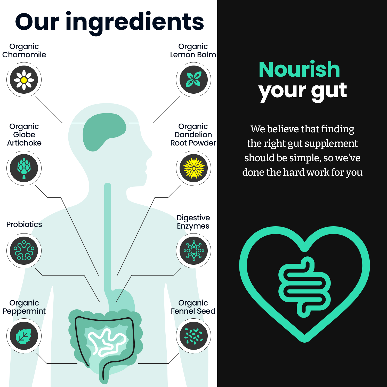 Gut 3-in-1 - 60 Capsules | Feel Complete