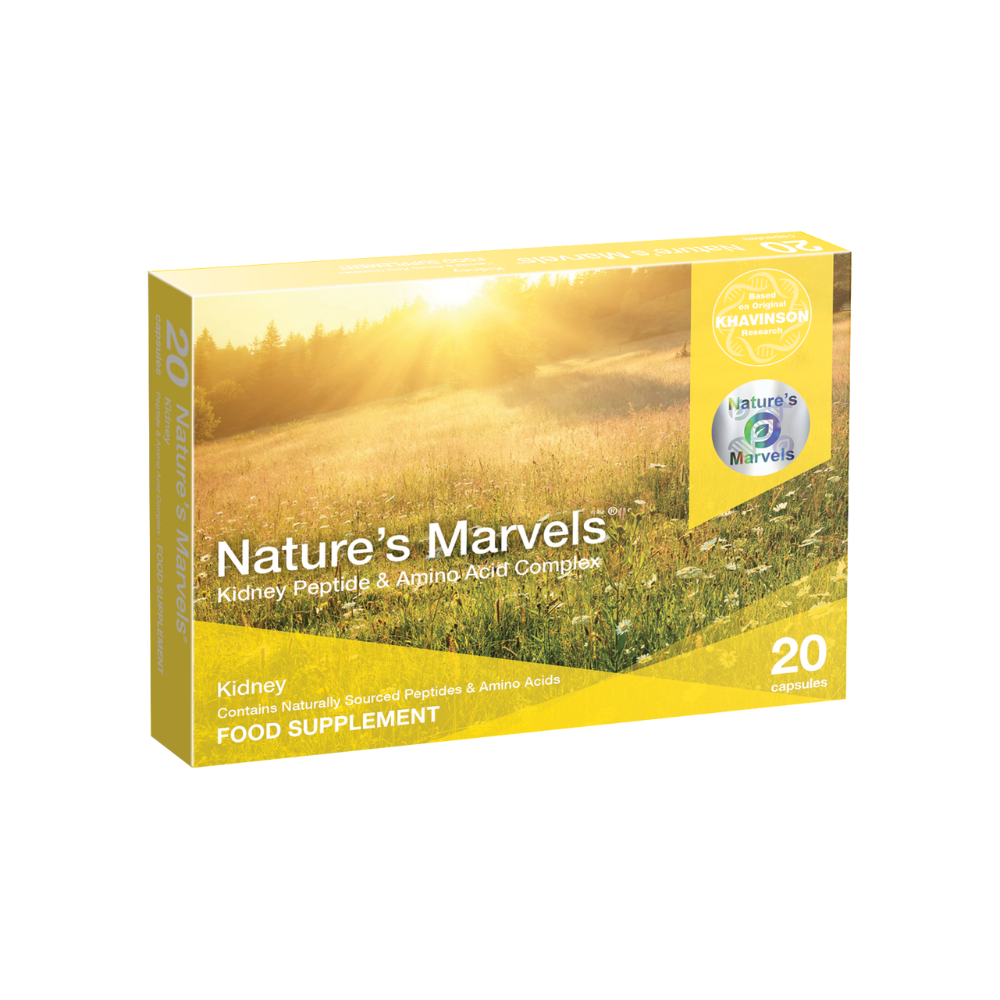 Kidney Bioregulator - 20 Capsules | Nature's Marvels