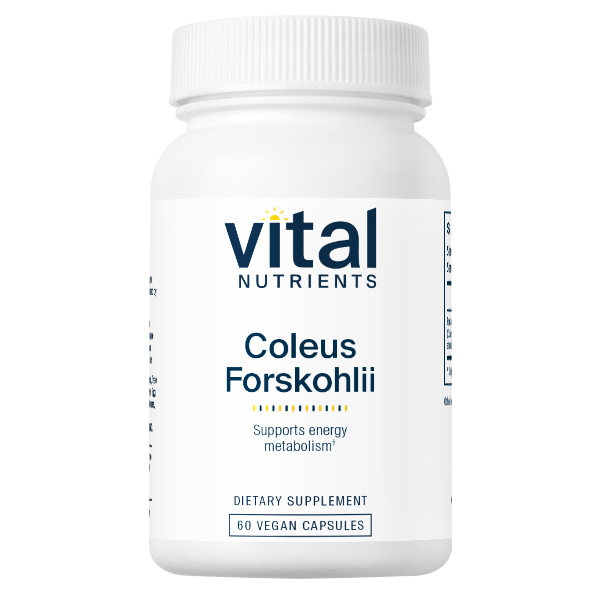 Coleus Forskohlii - 60 Capsules | Vital Nutrients